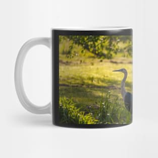 White Necked Heron Mug